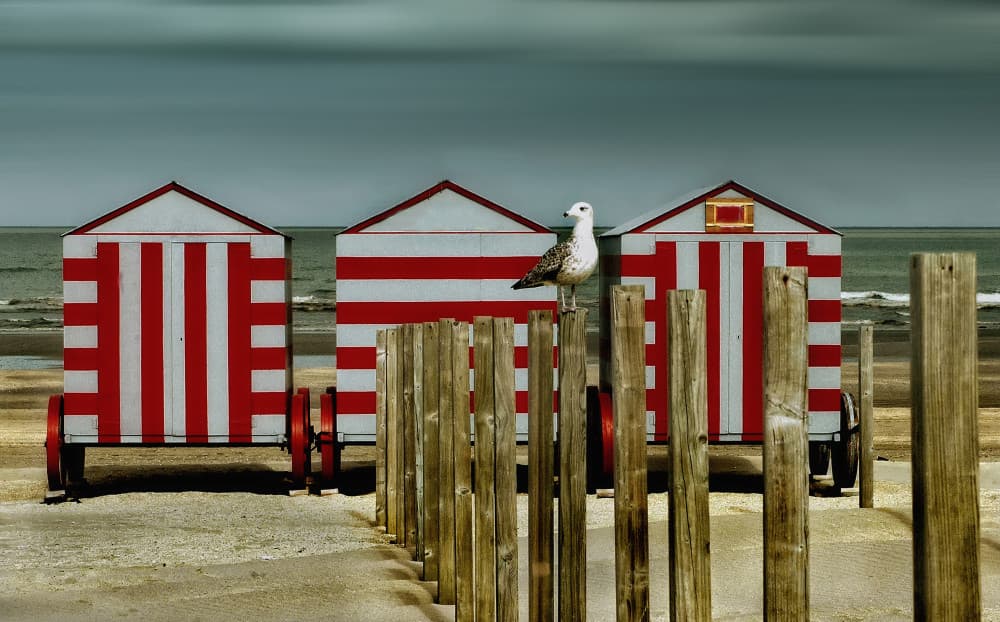 Red Huts and Seagull by Yvette Depaepe — canvas wall art