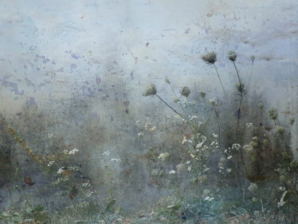 Muted Wildflower Serenity by Ria Groot Zevert — canvas wall art