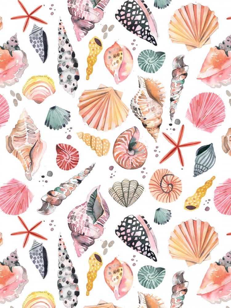 Coastal Watercolor Shells by Ninola Design — canvas wall art