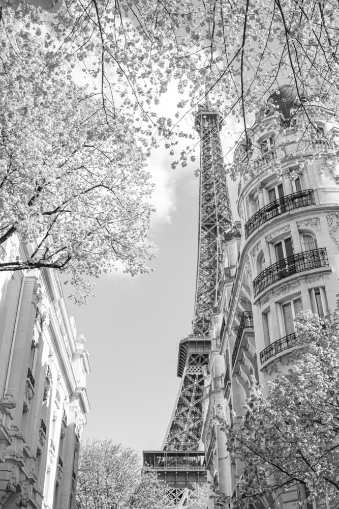 Eiffel Tower Paris Scene by Léa Lefebvre — canvas wall art