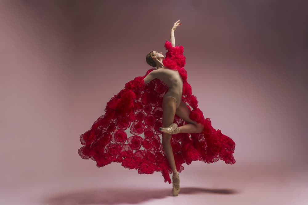 Red Ballet Elegance by Alexandr — canvas wall art