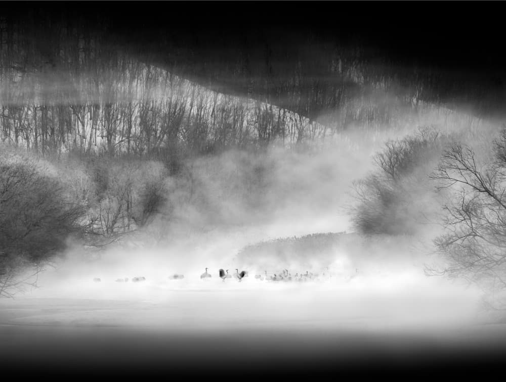 Cranes in Winter Fog by Hong Chen — canvas wall art