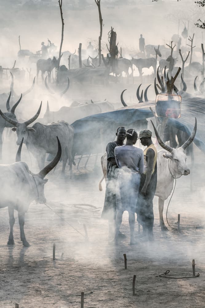 Smoky African Cattle Herders by Trevor Cole — canvas wall art