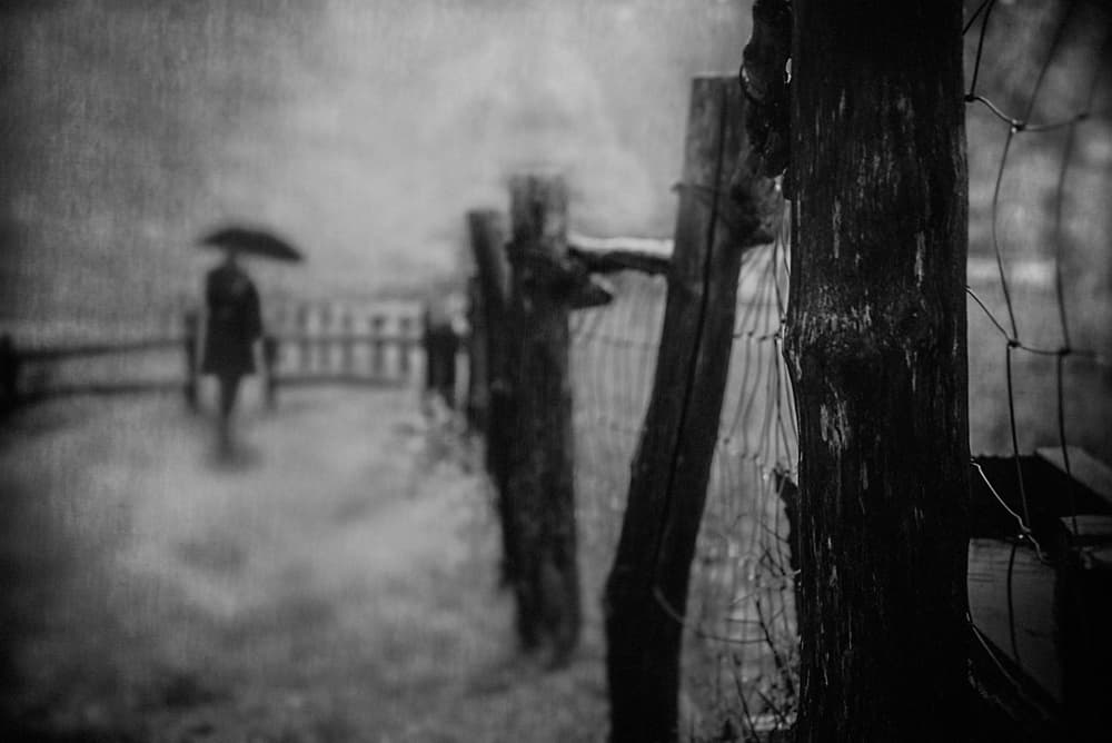 Moody Path Umbrella by Teruhiko Tsuchida — canvas wall art