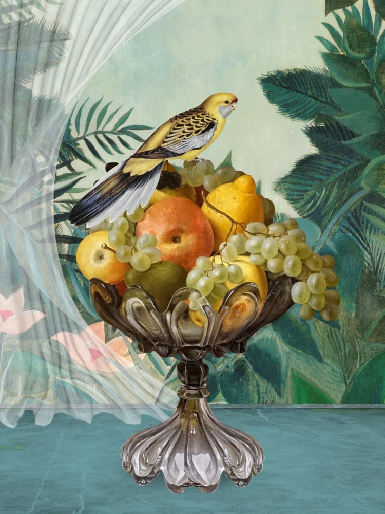 Exotic Bird Fruit Bowl by Marja van den Hurk — canvas wall art