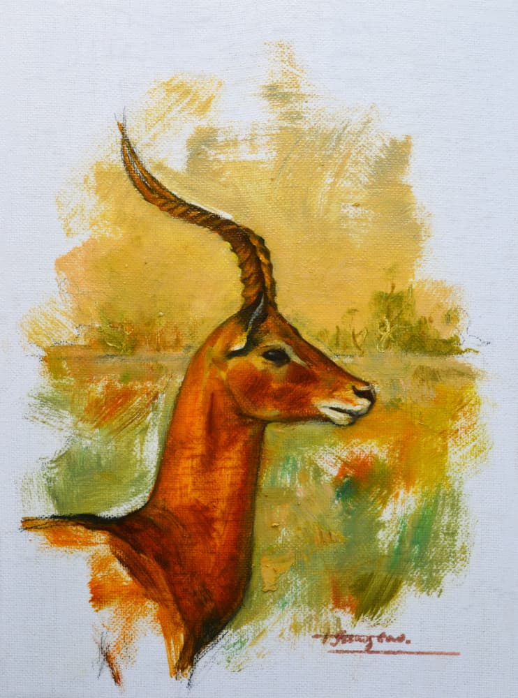 Graceful Impala Profile by Hongtao Huang — canvas wall art