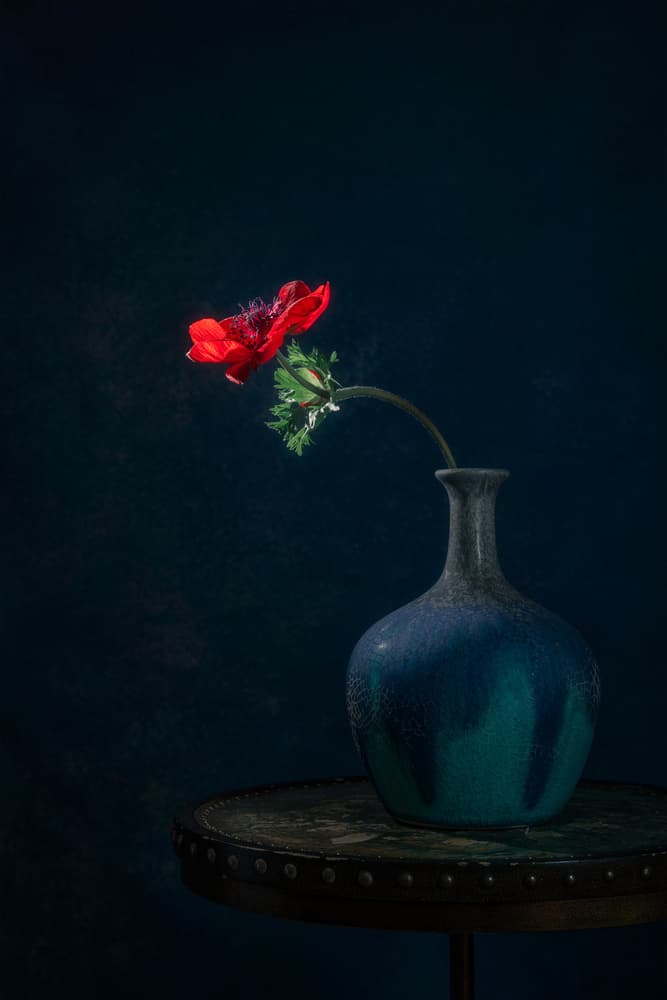 Dark Anemone Vase by Lydia Jacobs — canvas wall art