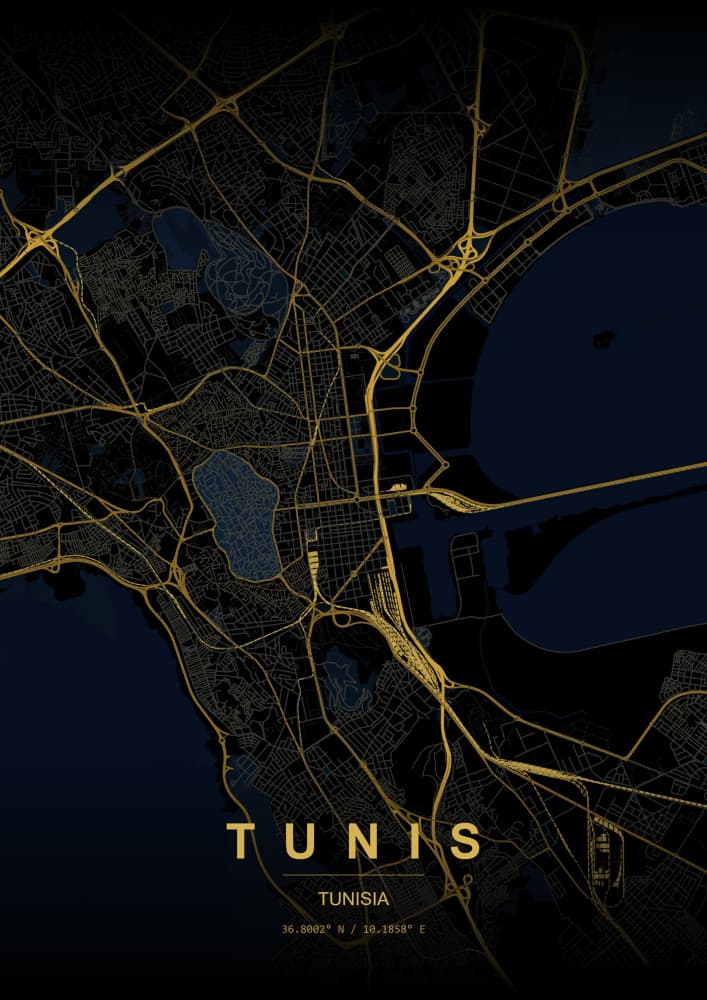 Golden Tunis Map by HUGO — canvas wall art