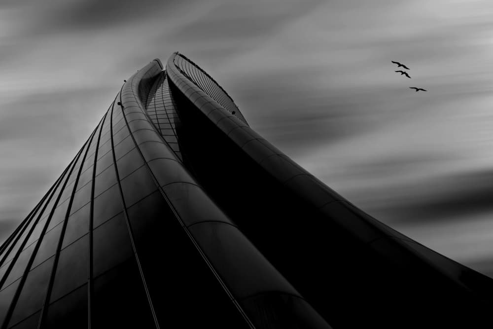 Soaring Modern Lines by Paulo Medeiros — canvas wall art