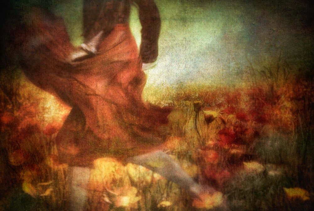 Autumn Red Dress Field by Charlaine Gerber — canvas wall art