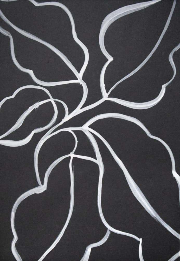 Botanical Line Art by Cyrille Gulassa — canvas wall art