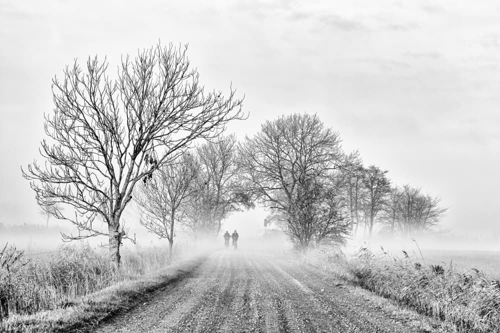 Foggy Winter Road by Andreas Klesse — canvas wall art