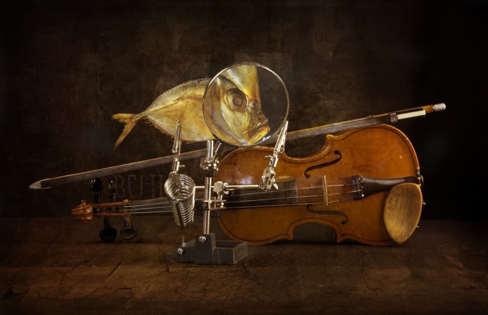 Magnified Fish and Violin by Brig Barkow — canvas wall art