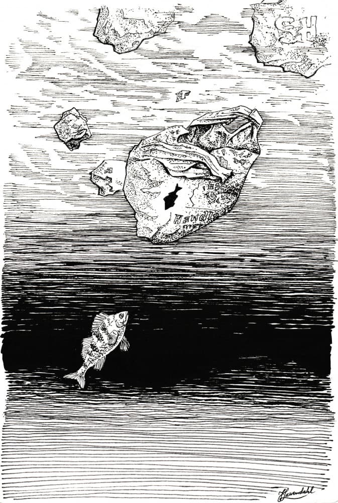 Fish Under Plastic by Johan Liewendahl — canvas wall art