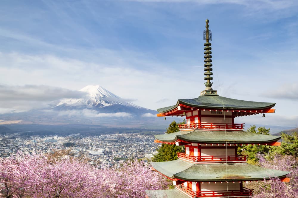 Chureito Pagoda Spring Fuji by Melanie Viola — canvas wall art