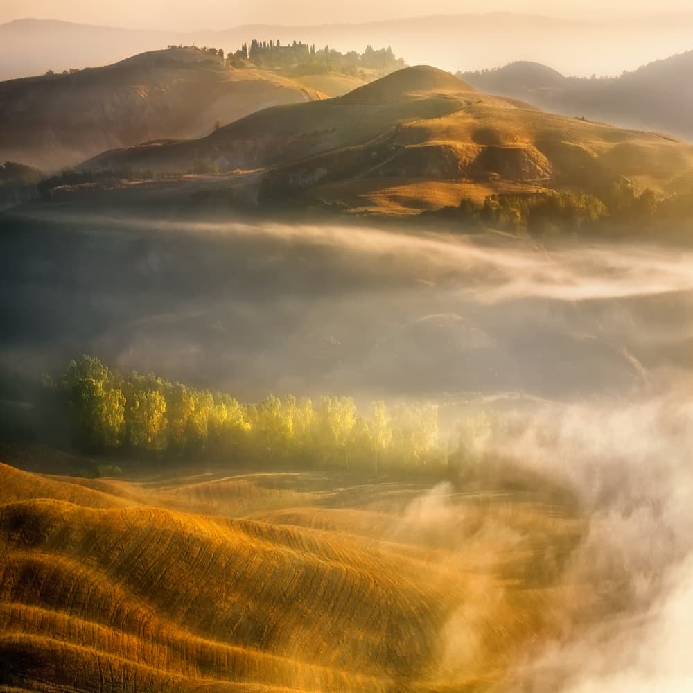 Golden Morning Mist by Krzysztof Browko — canvas wall art