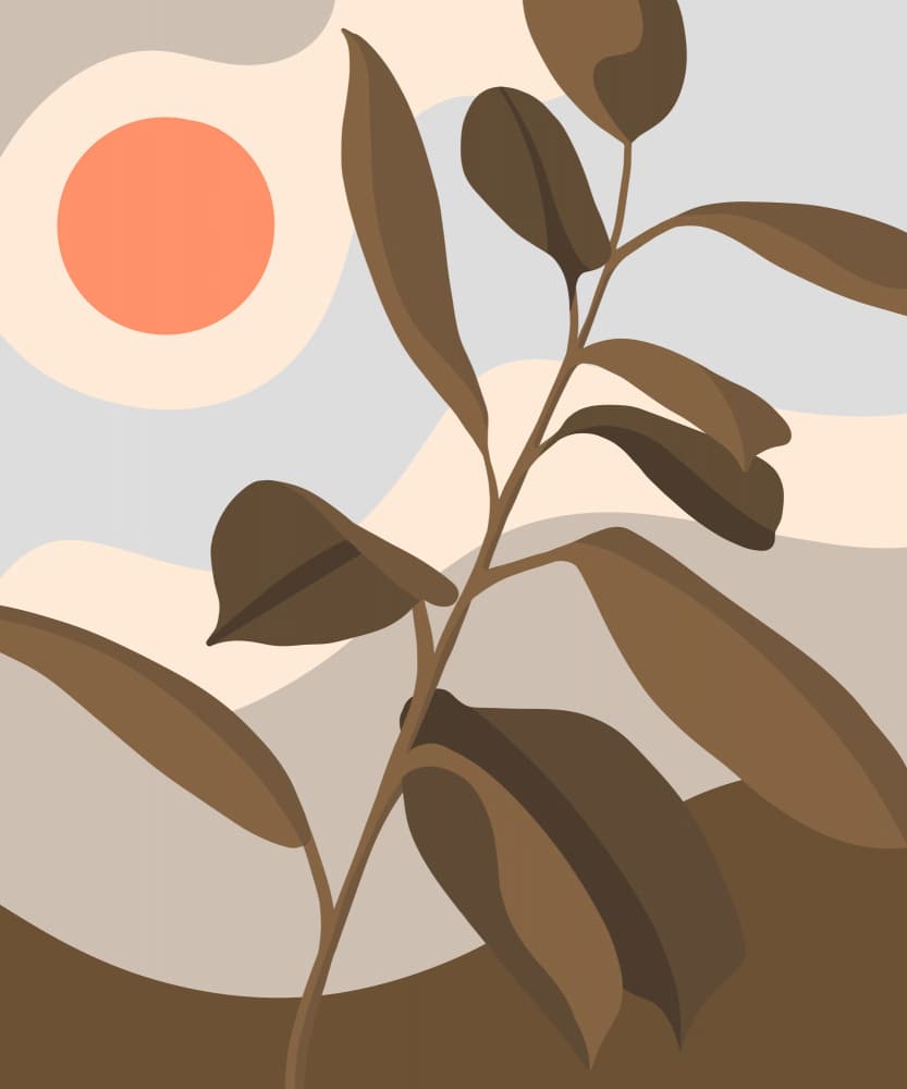 Desert Plant Sun by Kristian Gallagher — canvas wall art