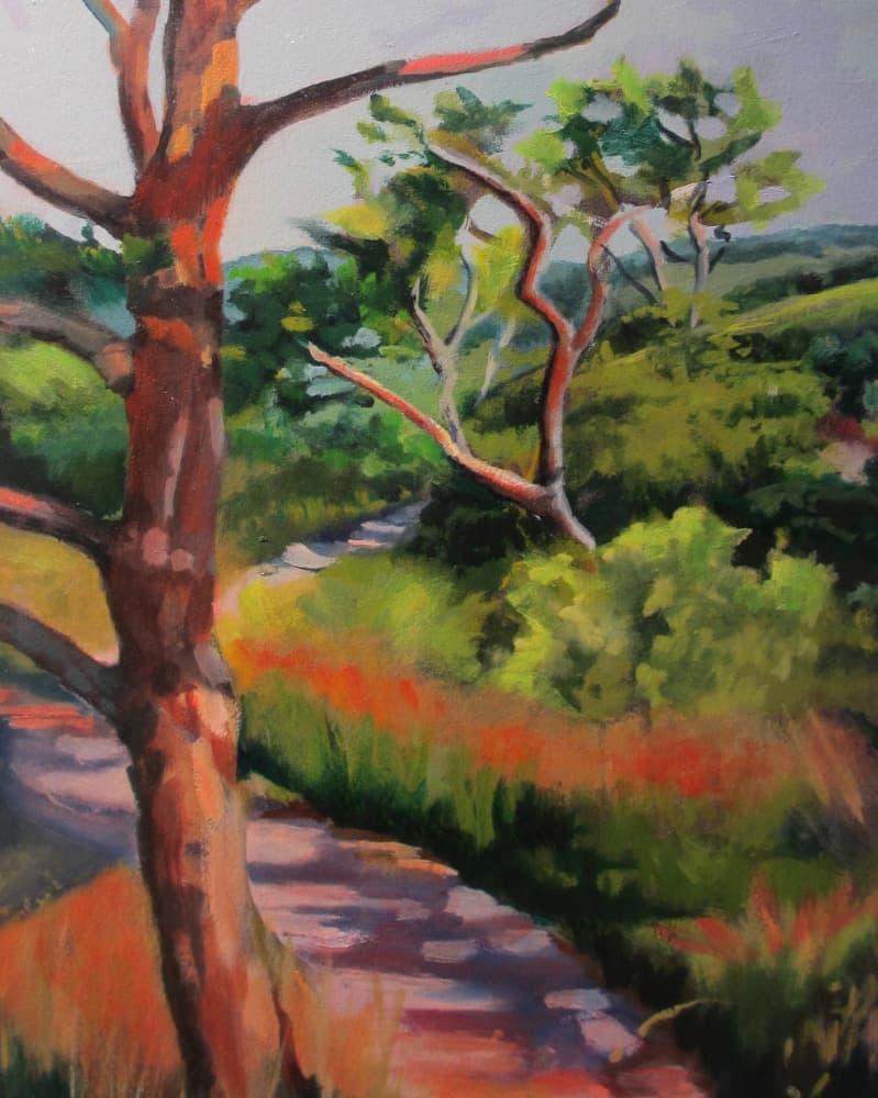 Sunlit Forest Path by Maxine Shore — canvas wall art