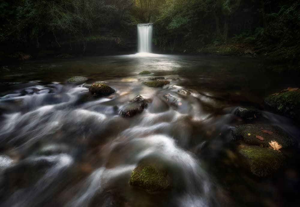 Whispers of water by Fran Osuna — canvas wall art