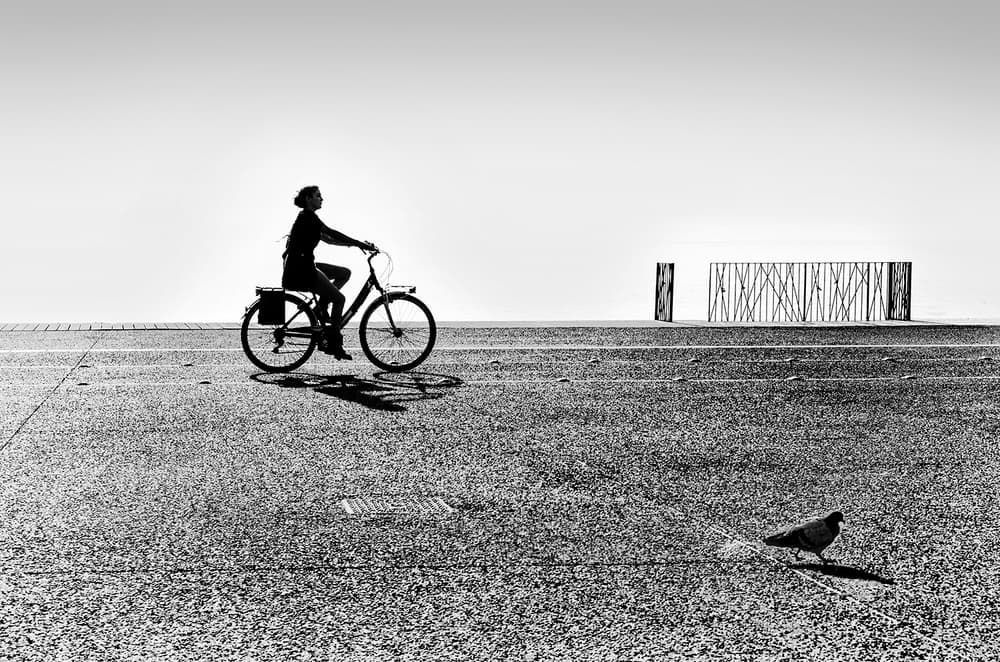 Solitary Bicycle Ride by George Digalakis — canvas wall art