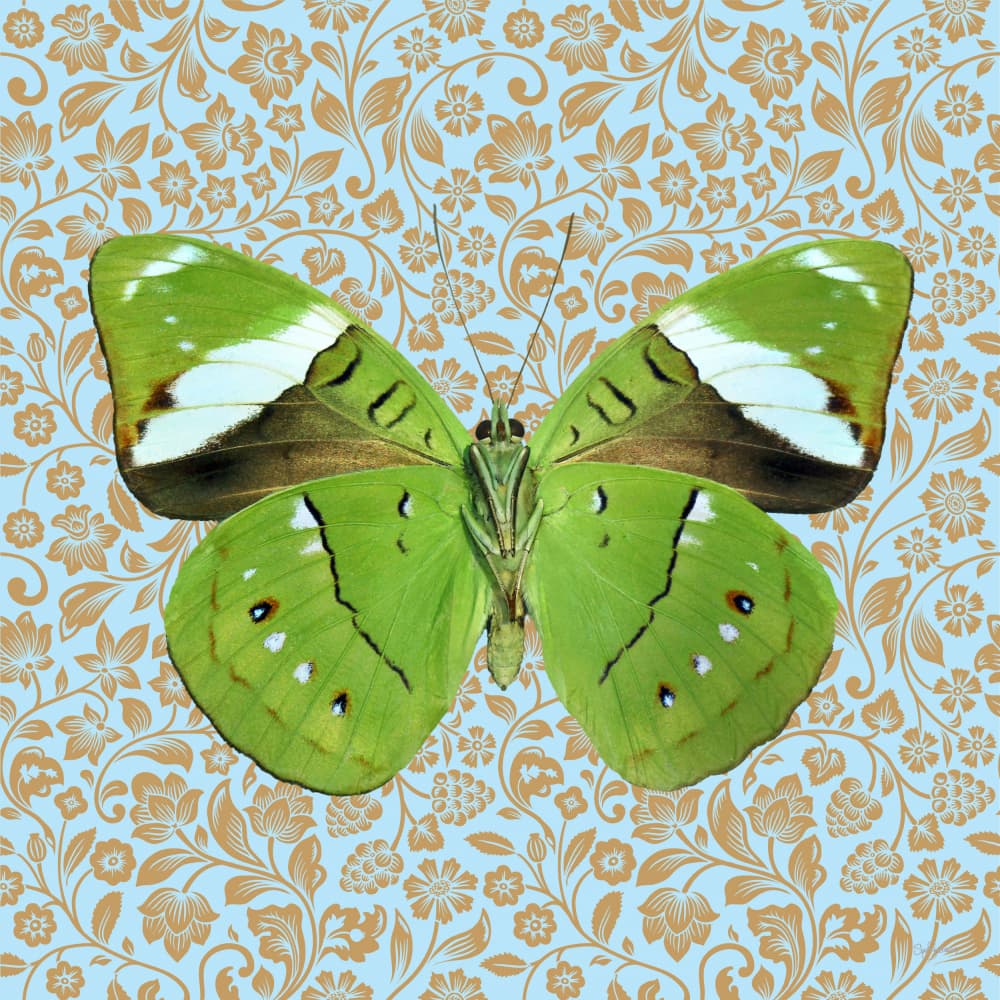 Vibrant Green Butterfly Pattern by Sue Skellern — canvas wall art