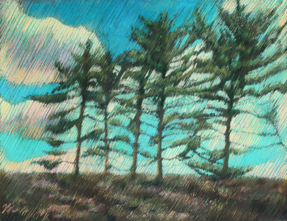 Windswept Pine Trees by Corné Akkers — canvas wall art