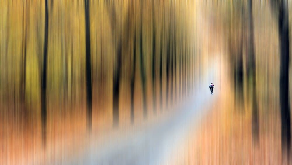 Cyclist In Autumn Blur by Huib Limberg — canvas wall art