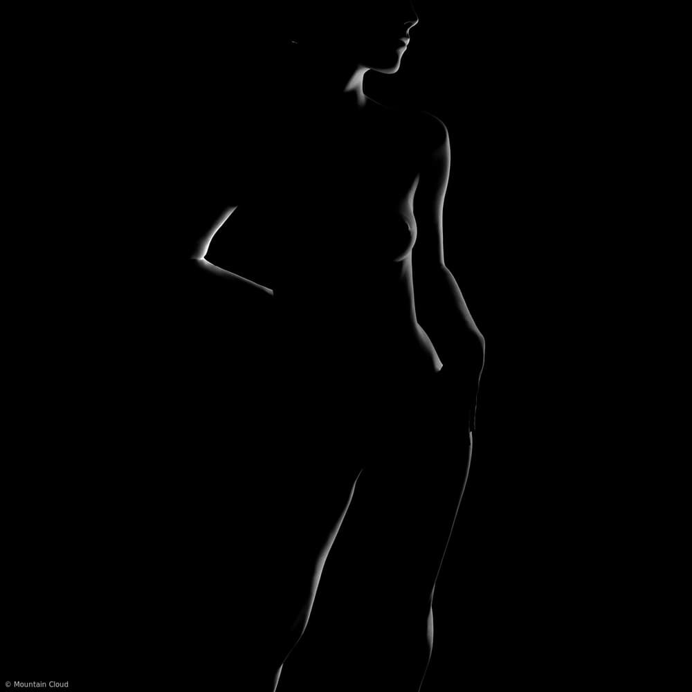 Elegant Silhouette by Mountain Cloud — canvas wall art