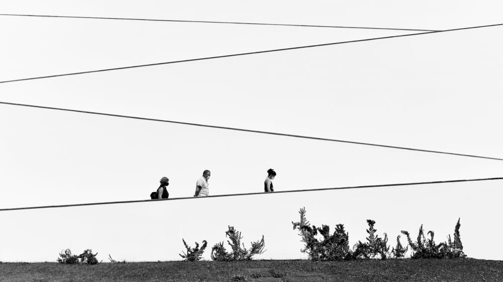 Minimalist Figures and Lines by Jorge Pimenta — canvas wall art