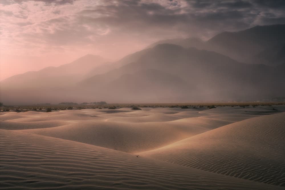 Misty Desert Dunes by Willa Wei — canvas wall art