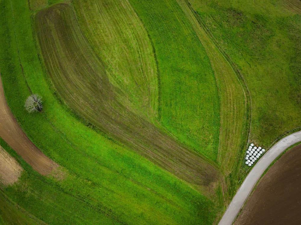 Green Fields Aerial View by Primož Kožuh — canvas wall art