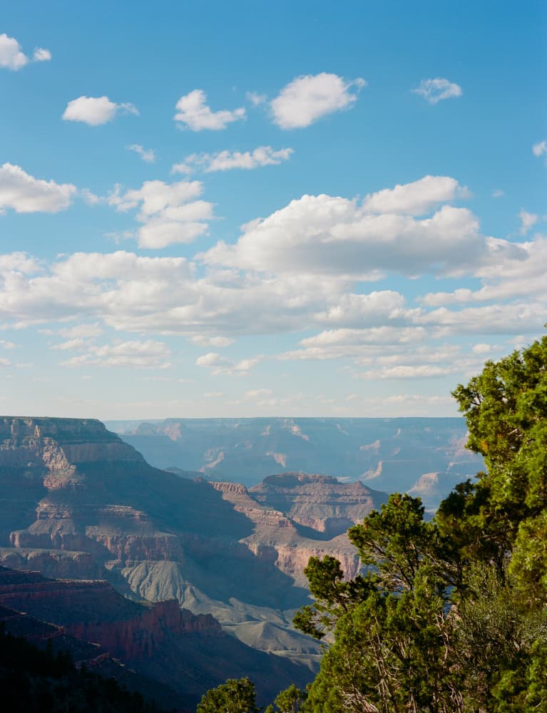 Grand Canyon Vista by Bethany Young — canvas wall art