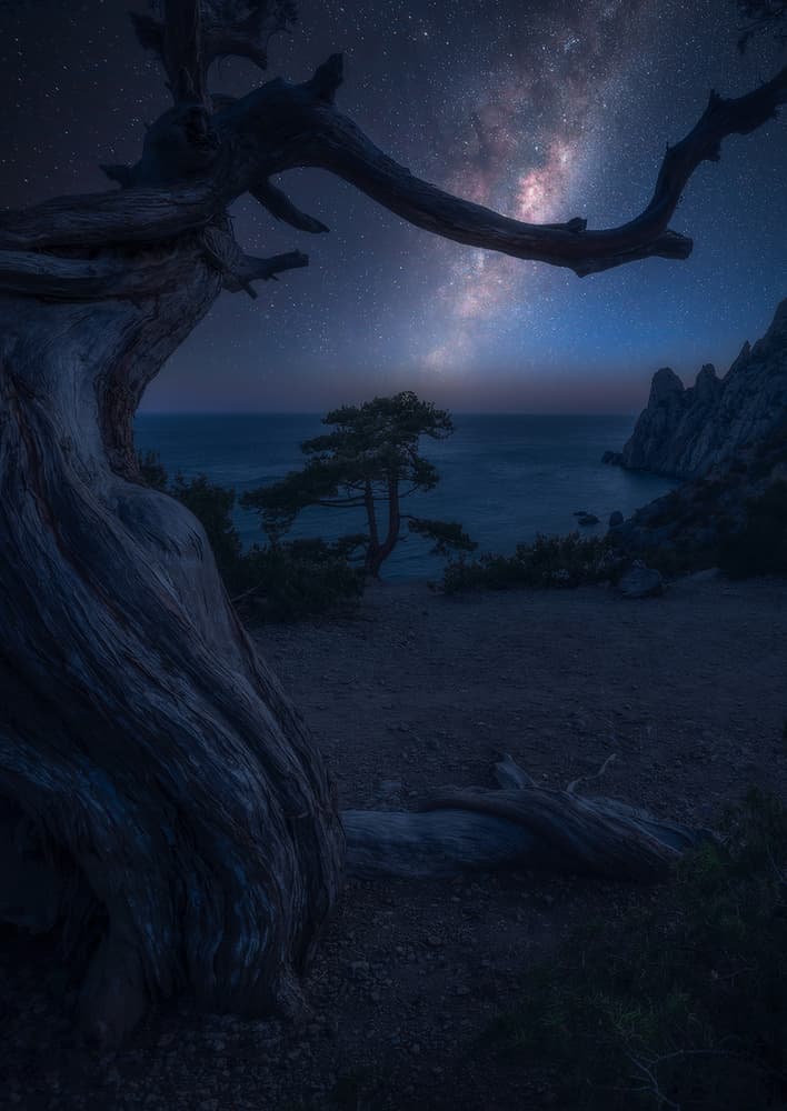 Milky Way Ocean Tree by Kirill Volkov — canvas wall art