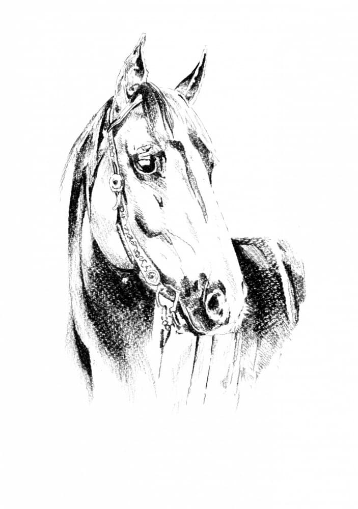 Noble Horse Portrait by Kulik — canvas wall art