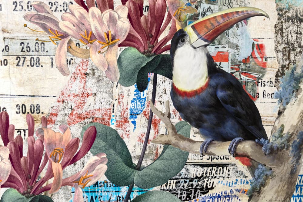 Tropical Toucan Collage by Marja van den Hurk — canvas wall art