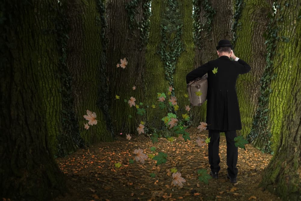 Man's Forest Journey by Christine von Diepenbroek — canvas wall art