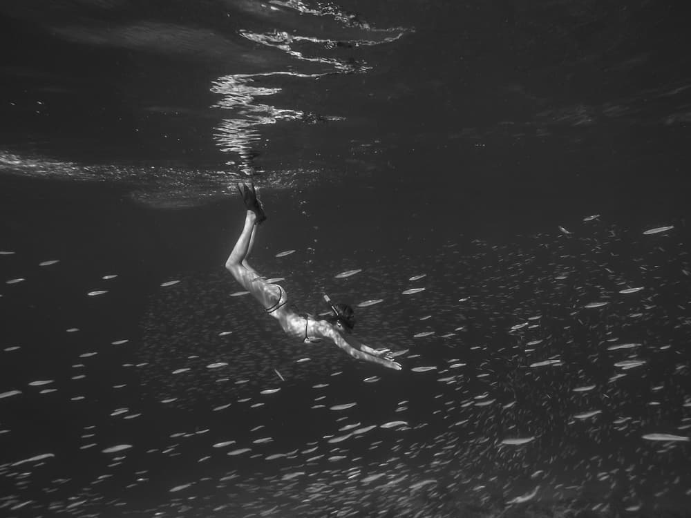 Graceful Diver Among Fish by Gloria Salgado Gispert — canvas wall art