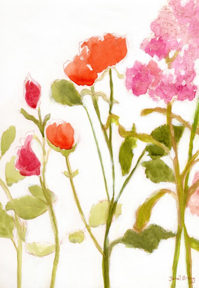 Pink Red Watercolor Blooms by Janel Bragg — canvas wall art