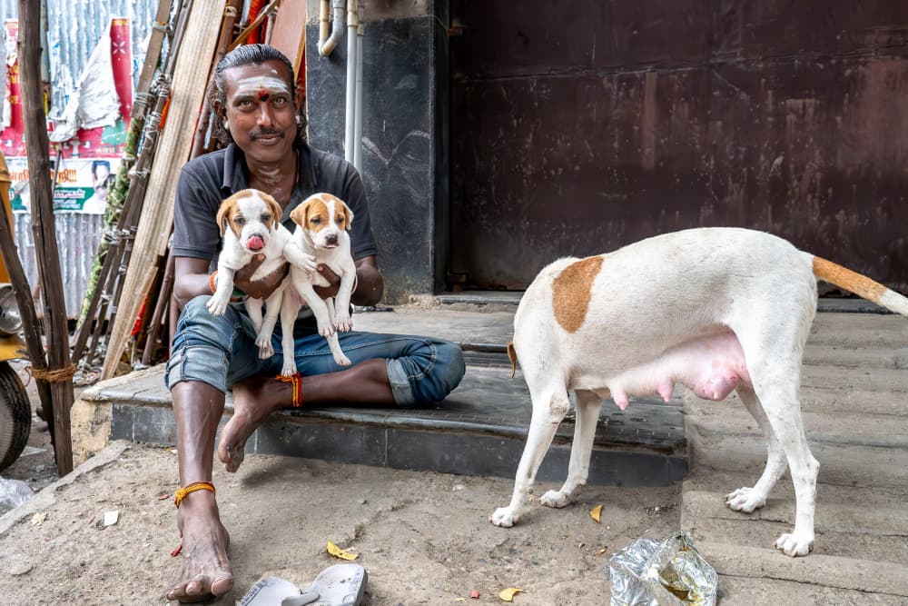 Indian Man With Puppies by BALASUBRAMANIAN GV — canvas wall art
