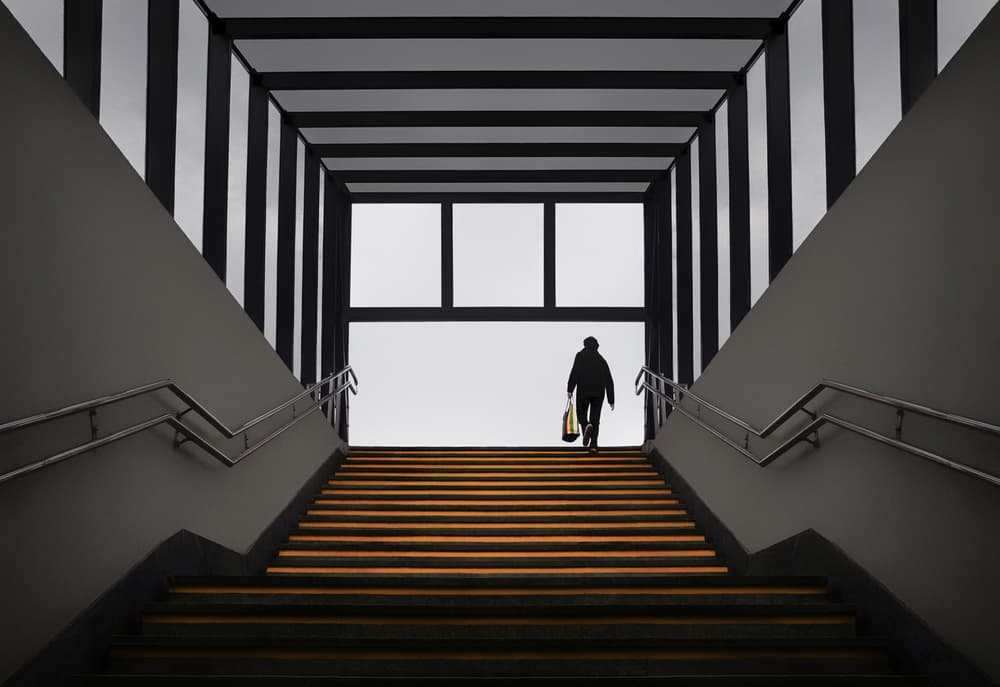 Upward Journey by Samanta Krivec — canvas wall art