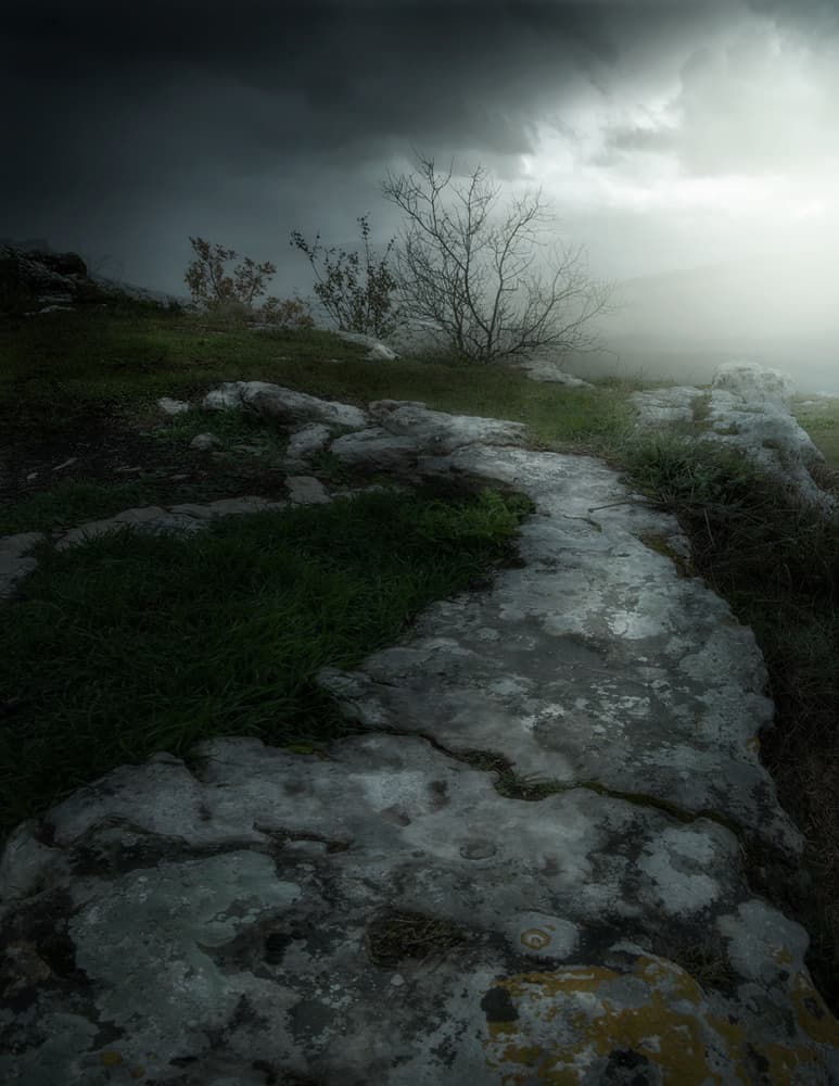 Winding Misty Path by Kirill Volkov — canvas wall art