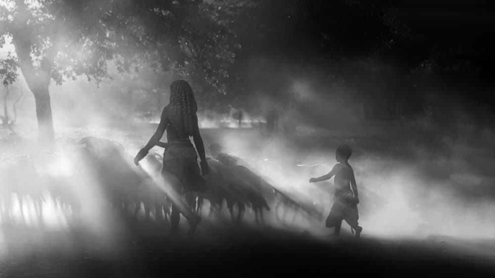 Guiding Through Misty Light by Joan Zhang — canvas wall art