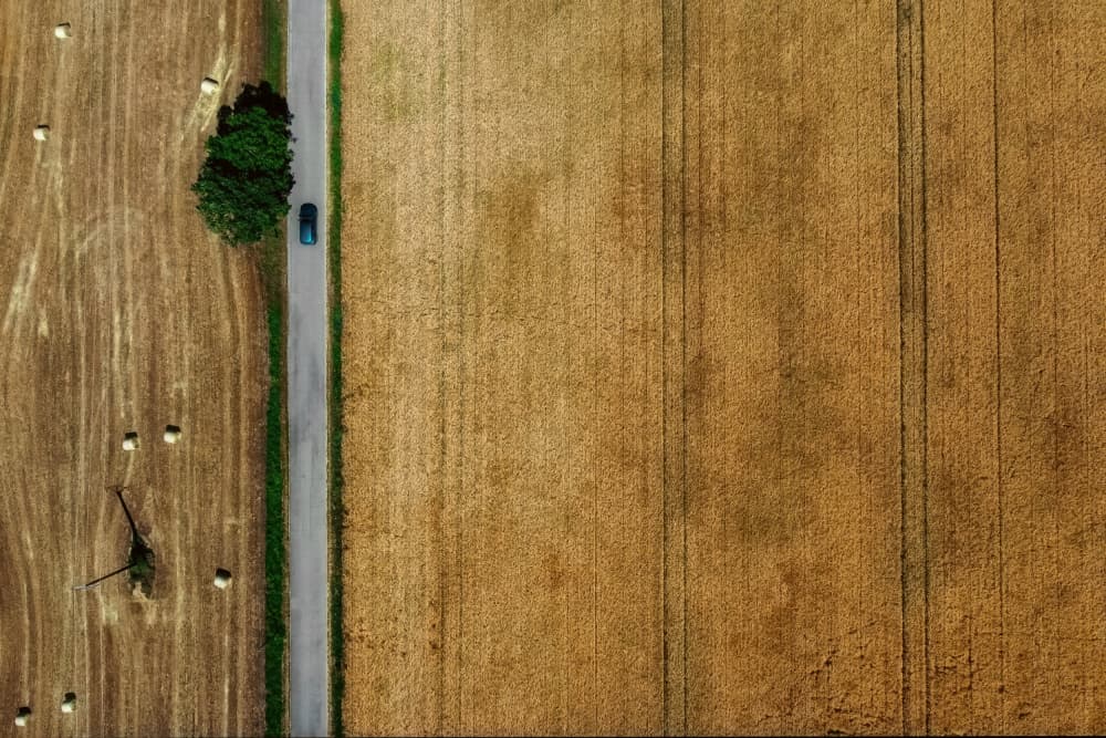 Golden Fields Country Road by Primož Kožuh — canvas wall art
