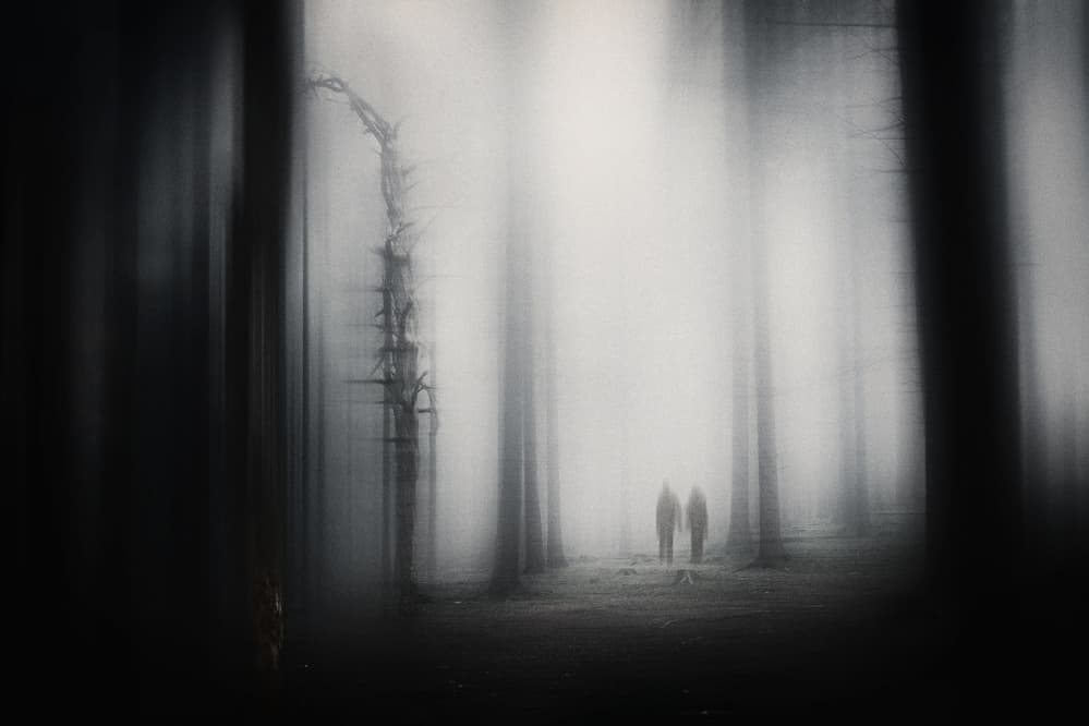 Haunting Misty Forest by Adam Dauria ☂ — canvas wall art