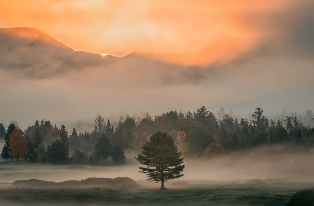 Misty Mountain Sunrise by Herbert Rong — canvas wall art