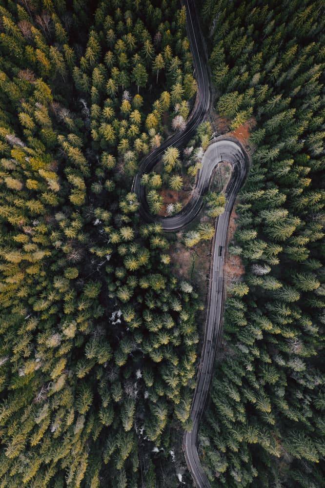Winding Forest Road by Angyalosi Beáta — canvas wall art