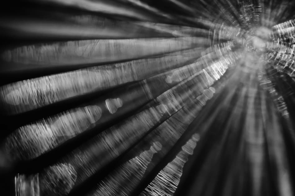 Shimmering Light Burst by Paulo Abrantes — canvas wall art