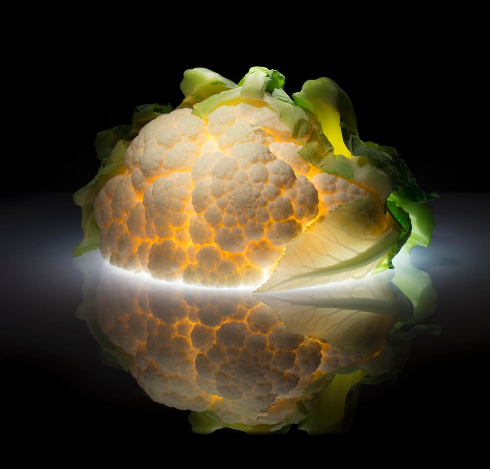 Cauliflower by Wieteke de Kogel — canvas wall art
