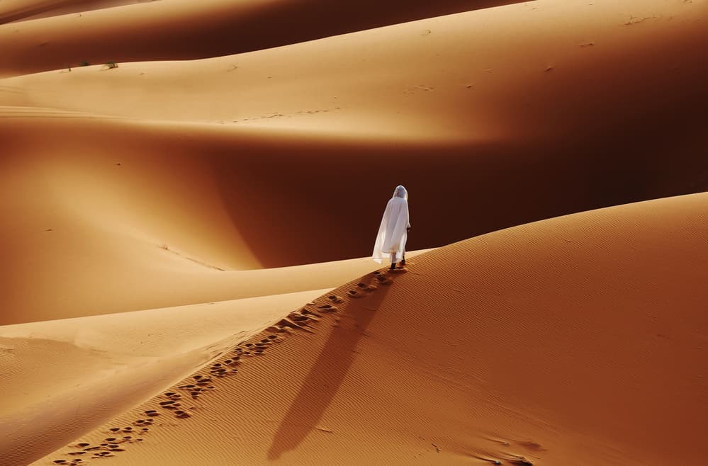 Desert Wanderer by Clas Gustafson PRO — canvas wall art