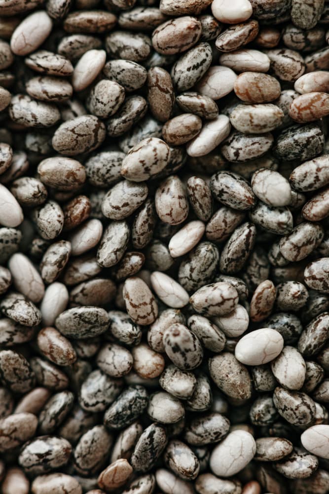 Speckled Chia Seeds by Javier Pardina — canvas wall art